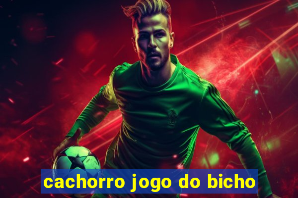 cachorro jogo do bicho